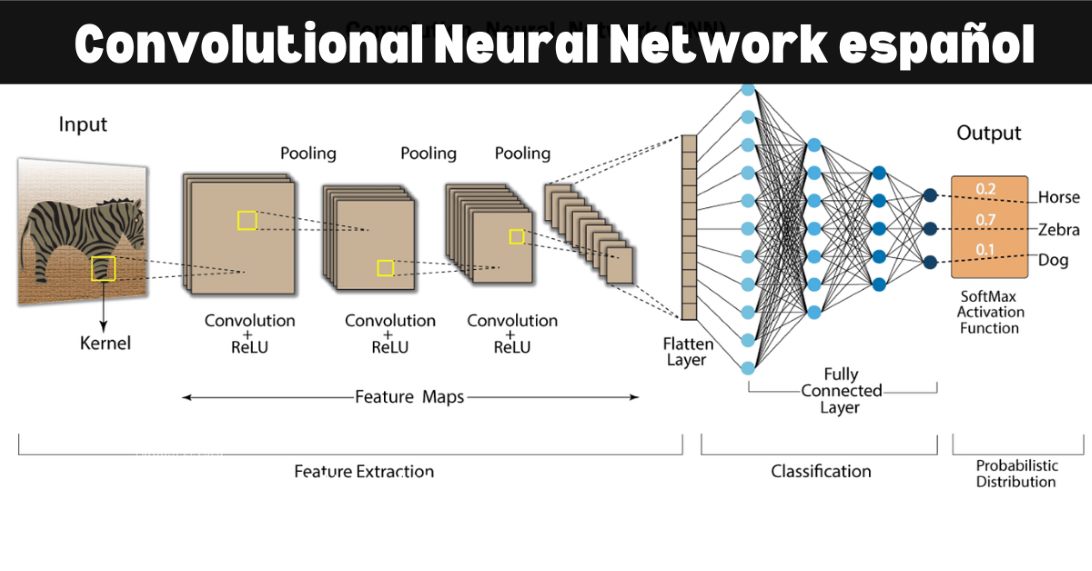 Convolutional Neural Network español