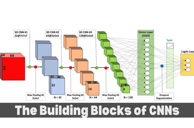 The Building Blocks of CNNs 