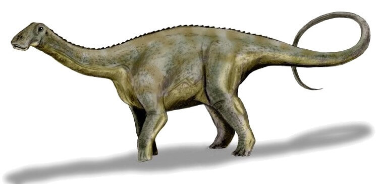 Nigersaurus replaced its teeth every 14 days