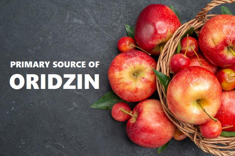 What Is Oridzin