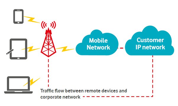 Definition and Purpose of APNs: