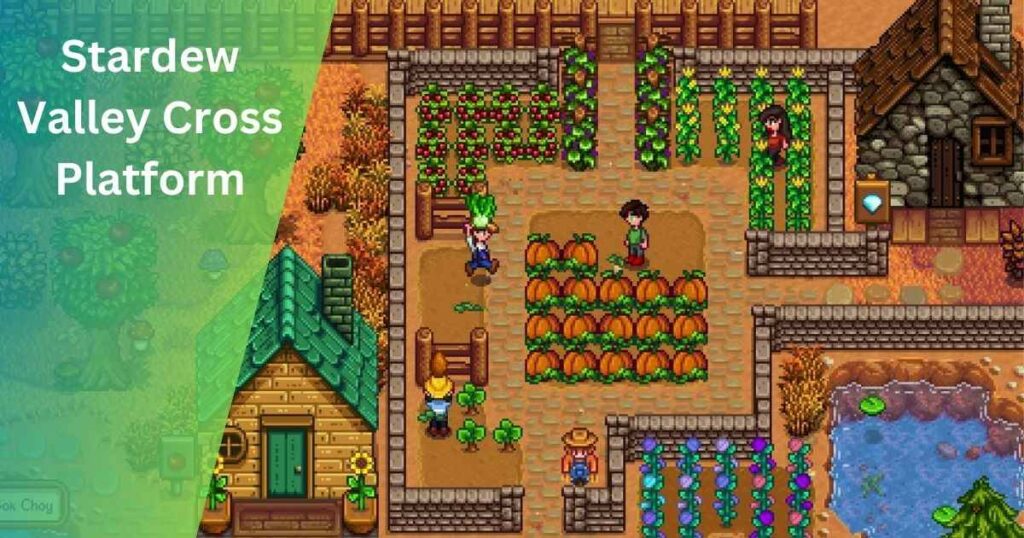 Stardew Valley Cross Platform